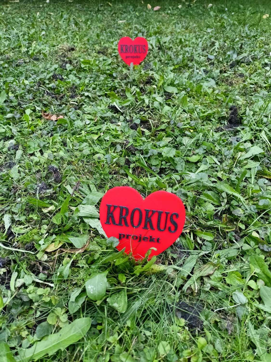 Projekt Krokus